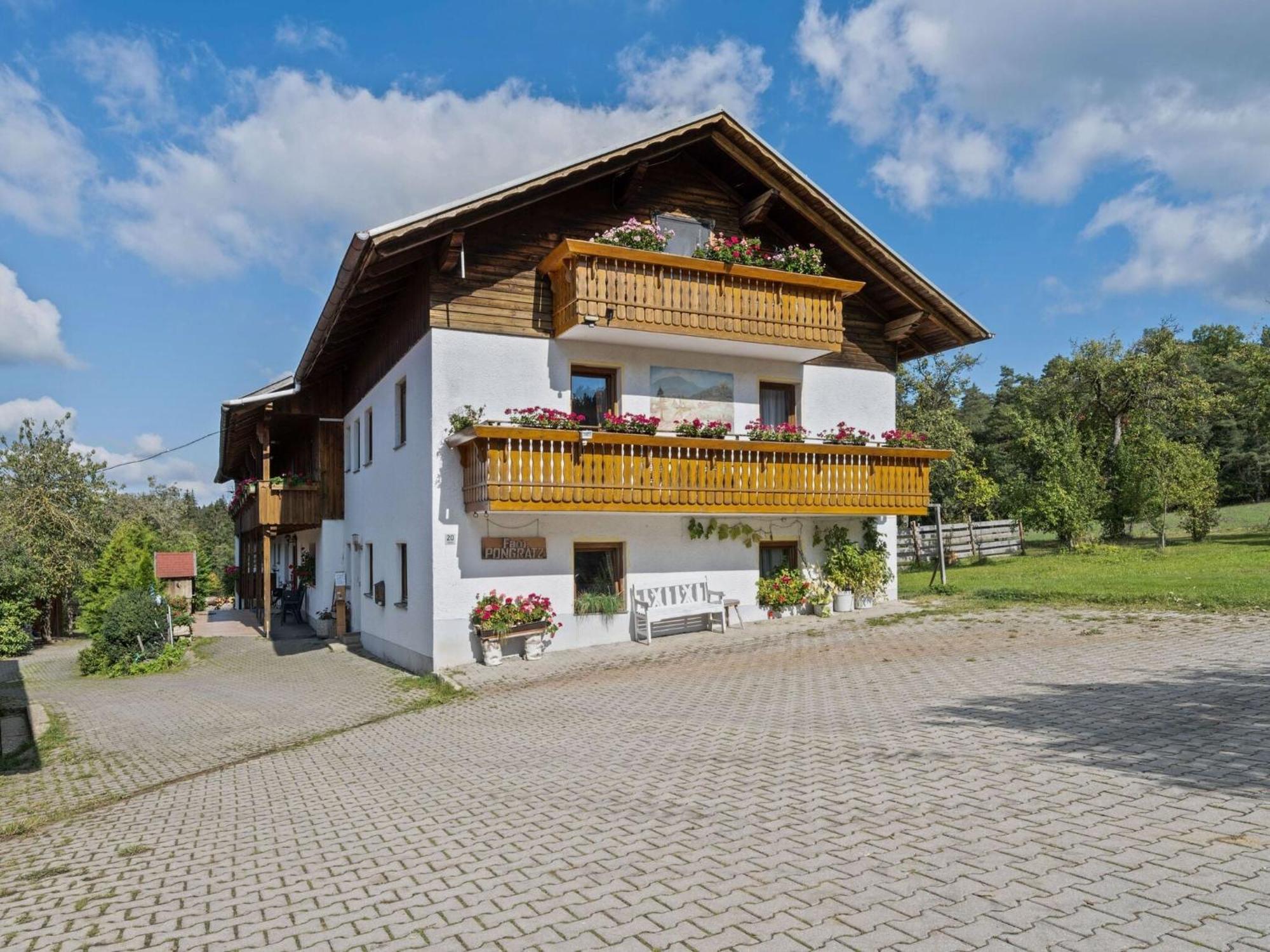 Apartment On A Farm Near The Ski Area Neukirchen beim Heiligen Blut Zewnętrze zdjęcie